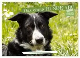 CALVENDO / Löwer |  Das coole Hunde ABC (Wandkalender 2025 DIN A3 quer), CALVENDO Monatskalender | Sonstiges |  Sack Fachmedien