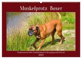 CALVENDO / Kleemann |  Muskelprotz Boxer (Wandkalender 2025 DIN A2 quer), CALVENDO Monatskalender | Sonstiges |  Sack Fachmedien
