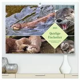 CALVENDO / Kleemann |  Quirlige Fischotter (hochwertiger Premium Wandkalender 2025 DIN A2 quer), Kunstdruck in Hochglanz | Sonstiges |  Sack Fachmedien