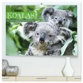 CALVENDO |  Koalas: die flauschigen Herzensbrecher (hochwertiger Premium Wandkalender 2025 DIN A2 quer), Kunstdruck in Hochglanz | Sonstiges |  Sack Fachmedien