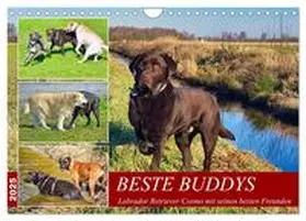 CALVENDO / Kleemann |  Beste Buddys (Wandkalender 2025 DIN A4 quer), CALVENDO Monatskalender | Sonstiges |  Sack Fachmedien