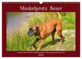 CALVENDO / Kleemann |  Muskelprotz Boxer (Wandkalender 2025 DIN A3 quer), CALVENDO Monatskalender | Sonstiges |  Sack Fachmedien