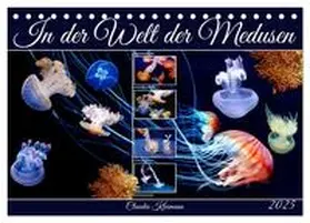CALVENDO / Kleemann |  In der Welt der Medusen (Tischkalender 2025 DIN A5 quer), CALVENDO Monatskalender | Sonstiges |  Sack Fachmedien