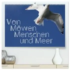 CALVENDO / Reichenauer |  Von Möwen, Menschen und Meer (hochwertiger Premium Wandkalender 2025 DIN A2 quer), Kunstdruck in Hochglanz | Sonstiges |  Sack Fachmedien