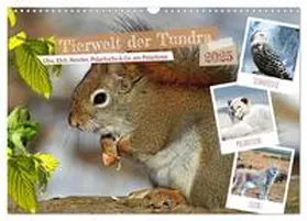 CALVENDO / Kleemann |  Tierwelt der Tundra (Wandkalender 2025 DIN A3 quer), CALVENDO Monatskalender | Sonstiges |  Sack Fachmedien