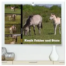 CALVENDO / Paul - Babetts Bildergalerie |  Mutterliebe - Konik Fohlen und Stute (hochwertiger Premium Wandkalender 2025 DIN A2 quer), Kunstdruck in Hochglanz | Sonstiges |  Sack Fachmedien