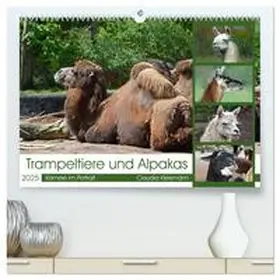 CALVENDO / Kleemann |  Trampeltiere und Alpakas (hochwertiger Premium Wandkalender 2025 DIN A2 quer), Kunstdruck in Hochglanz | Sonstiges |  Sack Fachmedien