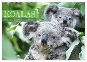 CALVENDO |  Koalas: die flauschigen Herzensbrecher (Wandkalender 2025 DIN A2 quer), CALVENDO Monatskalender | Sonstiges |  Sack Fachmedien