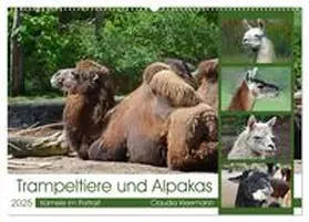 CALVENDO / Kleemann |  Trampeltiere und Alpakas (Wandkalender 2025 DIN A2 quer), CALVENDO Monatskalender | Sonstiges |  Sack Fachmedien