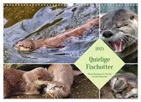 CALVENDO / Kleemann |  Quirlige Fischotter (Wandkalender 2025 DIN A3 quer), CALVENDO Monatskalender | Sonstiges |  Sack Fachmedien