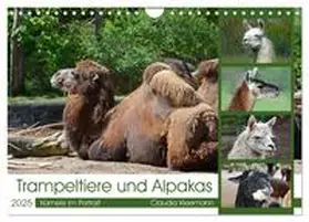 CALVENDO / Kleemann |  Trampeltiere und Alpakas (Wandkalender 2025 DIN A4 quer), CALVENDO Monatskalender | Sonstiges |  Sack Fachmedien