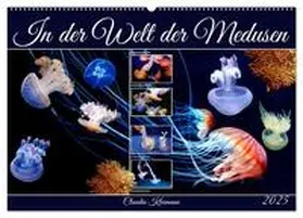 CALVENDO / Kleemann |  In der Welt der Medusen (Wandkalender 2025 DIN A2 quer), CALVENDO Monatskalender | Sonstiges |  Sack Fachmedien
