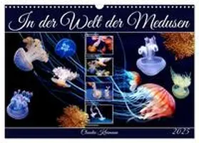 CALVENDO / Kleemann |  In der Welt der Medusen (Wandkalender 2025 DIN A3 quer), CALVENDO Monatskalender | Sonstiges |  Sack Fachmedien