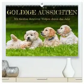 CALVENDO / Starick |  Goldige Aussichten - Mit Golden Retriever Welpen durch das Jahr (hochwertiger Premium Wandkalender 2025 DIN A2 quer), Kunstdruck in Hochglanz | Sonstiges |  Sack Fachmedien