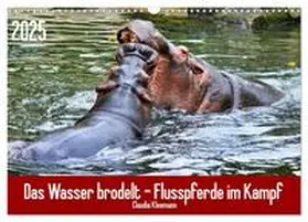CALVENDO / Kleemann |  Das Wasser brodelt - Flusspferde im Kampf (Wandkalender 2025 DIN A3 quer), CALVENDO Monatskalender | Sonstiges |  Sack Fachmedien
