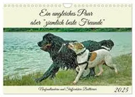 CALVENDO / Kleemann |  Ein ungleiches Paar aber "ziemlich beste Freunde" (Wandkalender 2025 DIN A4 quer), CALVENDO Monatskalender | Sonstiges |  Sack Fachmedien