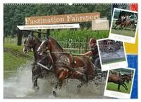 CALVENDO / Kleemann |  Faszination Fahrsport - Zweispänner im Galopp durch den Parcour (Wandkalender 2025 DIN A2 quer), CALVENDO Monatskalender | Sonstiges |  Sack Fachmedien