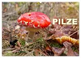 CALVENDO / Löwer |  Pilze im Elfenwald (Wandkalender 2025 DIN A2 quer), CALVENDO Monatskalender | Sonstiges |  Sack Fachmedien