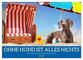 CALVENDO / Starick |  Ohne Hund ist alles nichts - Mit unseren besten Freunden durch das Jahr (Wandkalender 2025 DIN A4 quer), CALVENDO Monatskalender | Sonstiges |  Sack Fachmedien