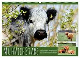 CALVENDO / Löwer |  MuhViehStars (Wandkalender 2025 DIN A2 quer), CALVENDO Monatskalender | Sonstiges |  Sack Fachmedien