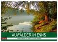 CALVENDO / Simlinger |  Auwälder bei Enns (Wandkalender 2025 DIN A3 quer), CALVENDO Monatskalender | Sonstiges |  Sack Fachmedien