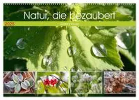 CALVENDO / Kruse | Natur, die bezaubert (Wandkalender 2025 DIN A2 quer), CALVENDO Monatskalender | Sonstiges | 978-3-383-99627-6 | www.sack.de