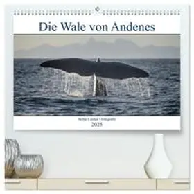 CALVENDO / Leimer |  Die Wale von Andenes (hochwertiger Premium Wandkalender 2025 DIN A2 quer), Kunstdruck in Hochglanz | Sonstiges |  Sack Fachmedien