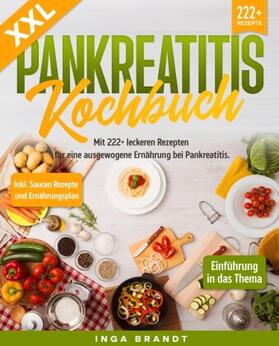 Brandt |  XXL Pankreatitis Kochbuch | Buch |  Sack Fachmedien