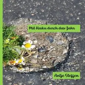 Steffen |  Mit Haiku durch das Jahr | Buch |  Sack Fachmedien