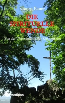 Bauer |  Die spirituelle Wende | Buch |  Sack Fachmedien