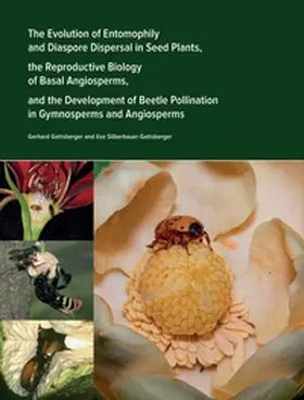 Gottsberger |  The Evolution of Entomophily and Diaspore Dispersal in Seed Plants, the Reproductive Biology of Basal Angiosperms, and the Development of Beetle Pollination in Gymnosperms and Angiosperms | Buch |  Sack Fachmedien