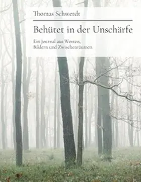 Schwerdt |  Behütet in der Unschärfe | Buch |  Sack Fachmedien