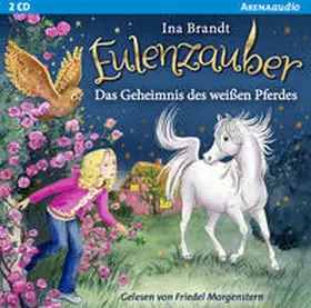Brandt |  Eulenzauber (13). Das Geheimnis des weißen Pferdes | Sonstiges |  Sack Fachmedien