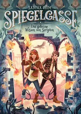 Blum |  Spiegelgasse | Buch |  Sack Fachmedien