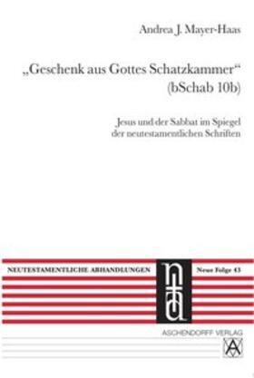 Mayer-Haas | Geschenk aus Gottes Schatzkammer (bSchab 10b) | Buch | 978-3-402-04790-3 | sack.de