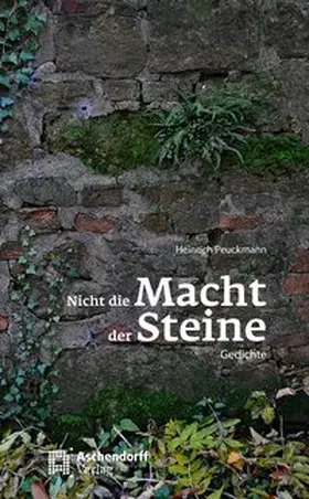 Peuckmann |  Nicht die Macht der Steine | Buch |  Sack Fachmedien
