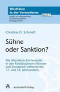 Schmidt |  Sühne oder Sanktion? | Buch |  Sack Fachmedien