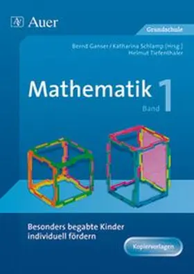 Tiefenthaler |  Begabte Kinder individuell fördern, Mathe Band 1 | Buch |  Sack Fachmedien