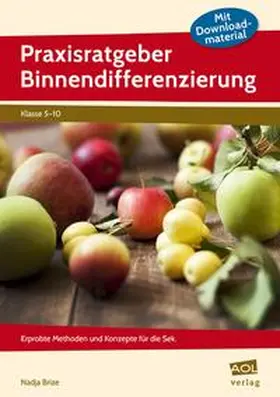 Brize |  Praxisratgeber Binnendifferenzierung | Buch |  Sack Fachmedien