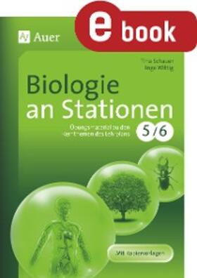 Schauer / Wittig |  Biologie an Stationen 5-6 | eBook | Sack Fachmedien