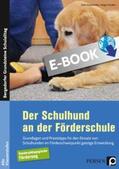 Schäfer / Schönhofen |  Der Schulhund an der Förderschule | eBook | Sack Fachmedien