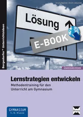 Oppolzer |  Lernstrategien entwickeln | eBook | Sack Fachmedien