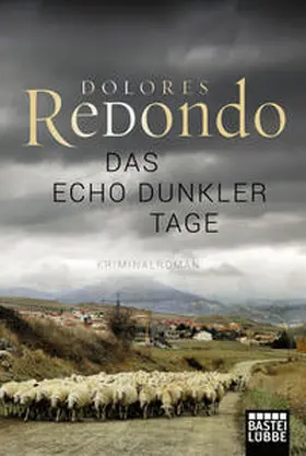Redondo |  Das Echo dunkler Tage | Buch |  Sack Fachmedien