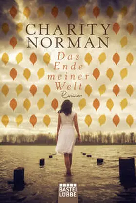 Norman |  Das Ende meiner Welt | Buch |  Sack Fachmedien