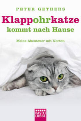 Gethers |  Klappohrkatze kommt nach Hause | Buch |  Sack Fachmedien