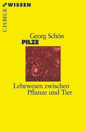 Schön | Pilze | Buch | 978-3-406-50860-8 | sack.de