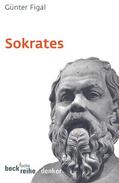 Figal / Höffe |  Sokrates | Buch |  Sack Fachmedien