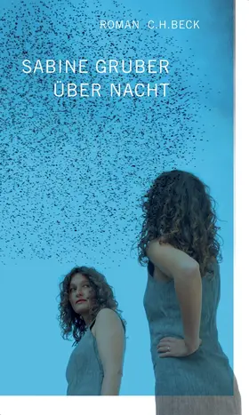 Gruber |  Über Nacht | Buch |  Sack Fachmedien