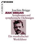 Brügge |  Sibelius´ Symphonien und Symphonische Dichtung | Buch |  Sack Fachmedien