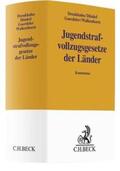 Drenkhahn / Dünkel / Goerdeler |  Jugendstrafvollzugsgesetze der Länder | Buch |  Sack Fachmedien